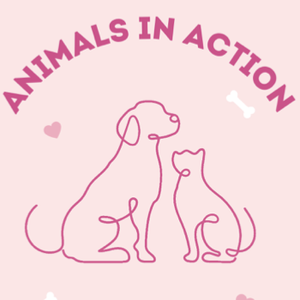 Team Page: AHN Animals in Action